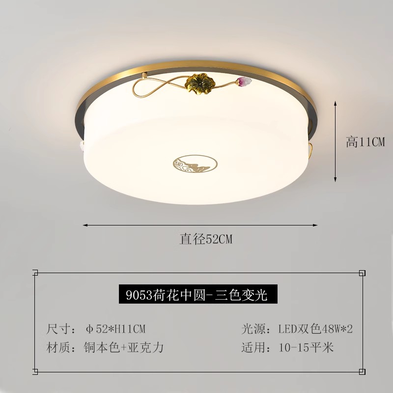 O1CN01T1r1zK1cBRgn1rm1p_!!650783562.jpg_.avif.jpg